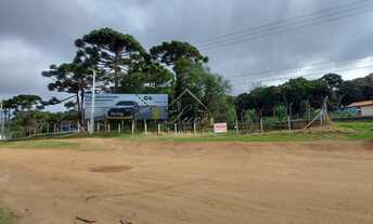 Imagem 7: TERRENO à venda com 15438m² por R$ 1.690.000,00 - SÃO JOSÉ DOS PINHAIS / PR