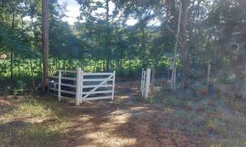 Imagem 3: Sitio jaboticatubas