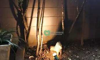 Imagem 3: Casa para alugar, 164 m² por R$ 14.059,05/mês - Pinheiros - São Paulo/SP