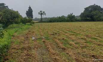 Imagem 2: Propriedade com 6,5 Heketares em rua asfaltada, muita água e com edificações