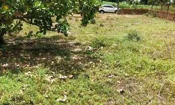 Imagem 3: Terreno lagoa de cima