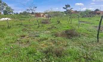 Imagem 3: TERRENO BARREIRNHAS