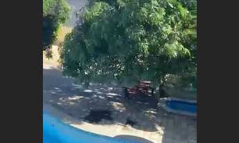 Imagem 6: Aluguel comercial