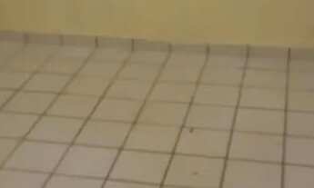 Imagem 4: Casa Casa com 1 dormitório