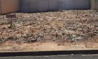 Imagem: Chacara e terrenos