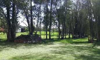 Imagem 3: Área à venda, 86039 m² por R$ 10.500.000,00 - Campo Grande - Estância Velha/RS