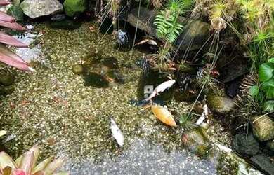 Imagem 12: Casa com 5 dormitórios, 486 m² - venda por R$ 4.345.000,00 ou aluguel por R$ 17.000,00/mês