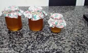 Imagem 5: Chacara 30 mil metros no sul de minas