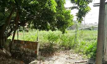 Imagem 5: Papicu - casa + terreno (vende-se