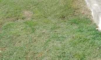 Imagem 7: ? 700 Metros porteita fechada aracoiaba da serra sp