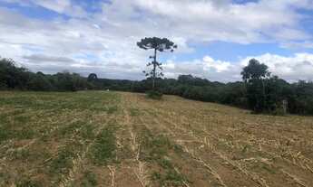 Imagem 5: Terreno Umbara Terreno / lote com venda por R$10.000.000