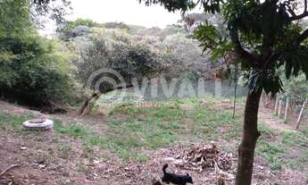 Imagem 3: Chácara - / Rural / Loteamento Santo Antônio