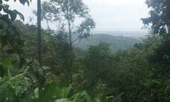 Imagem 7: Ilha de Guaratiba, sitio em harmonia com a natureza