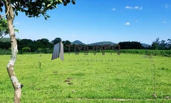 Imagem 5: Sítio com 30.000m² (3ha), totalmente plano, possibilidade de lotear, área urbanizada