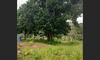 Imagem 2: Vendo Excelente Sitio Em Valença Bahia
