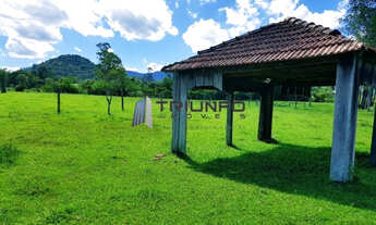 Imagem 4: Sítio com 30.000m² (3ha), totalmente plano, possibilidade de lotear, área urbanizada