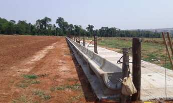 Imagem 7: Sítio em Paranavaí