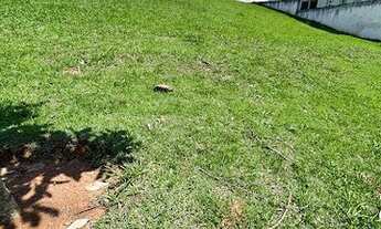 Imagem: Condomínio Burle Marx