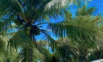 Imagem 2: 5/4 Piscina Condomínio