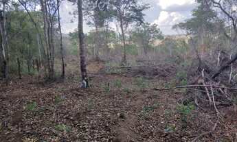 Imagem 2: Áreas de 5 mil metros em Esmeraldas