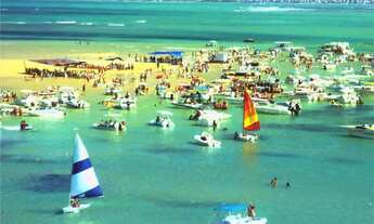 Imagem 3: Blue Sky: um paraíso tropical