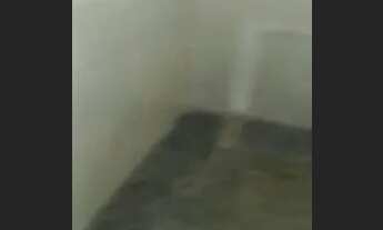 Imagem 3: Aluga-se casa Casa com 2 dormitórios