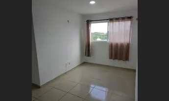 Imagem 5: Aluguel Ap no Novo Geisel