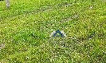 Imagem 6: Fazenda à venda, 102 alqueires por R$ 9.000.000 - Tereza Cristina - Candido de Abreu/PR