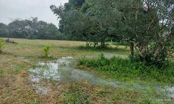 Imagem 7: Propriedade com 6,5 Heketares em rua asfaltada, muita água e com edificações