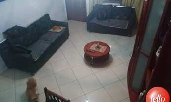 Imagem 3: São Paulo - Casa Padrão - Tatuapé