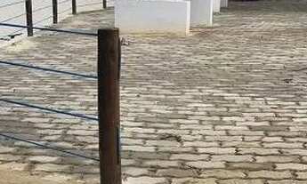 Imagem 4: Oportunidade Unica