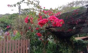 Imagem 5: LAGOA DA CONCEIÇÃO