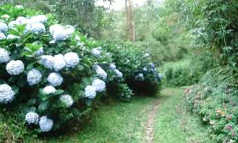 Imagem 6: Oportunidade única em Nova Friburgo. Sítio com.60.000m2. Tel: *