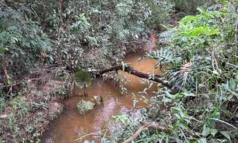 Imagem 5: Vendo sítio 3.8 alqueires(3km da cidade, beira da pista
