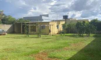 Imagem: Jardim Botânico - Estância Quintas da