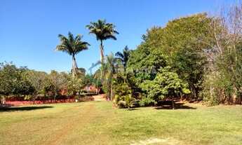 Imagem 6: Chácara em Conjunto Habitacional Jardim das Palmeiras - Ribeirão Preto