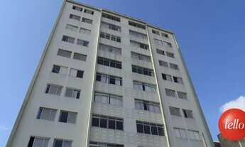 Imagem 7: São Paulo - Apartamento Padrão - Santana