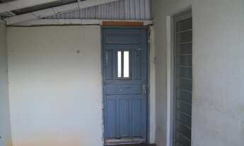 Imagem 4: Baldi - São José do Rio Preto - SP