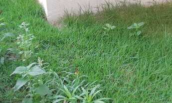 Imagem 3: Apartamento novo para venda possui 40 metros quadrados com 2 quartos em Barra Funda - São