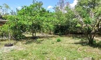 Imagem 4: Vendo um sítio Chácara com venda com preço sob consulta