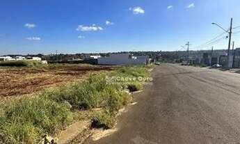 Imagem 3: Terreno no loteamento veredas