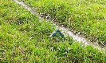 Imagem 4: Fazenda à venda, 102 alqueires por R$ 9.000.000 - Tereza Cristina - Candido de Abreu/PR