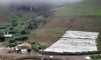 Imagem 3: Chácara com lagoa grande e plator pronto