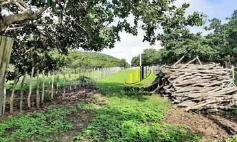 Imagem 4: Oportunidade em UMIRIM