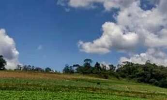 Imagem 3: 03o-PQLI20 Terreno / lote com venda por R$60.000