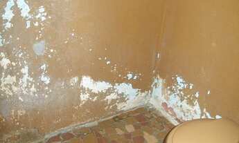 Imagem 7: Baldi - São José do Rio Preto - SP