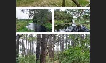 Imagem 7: Casa com uma suíte no Rio Vermelho