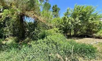 Imagem 2: Terreno em Ponta Grossa