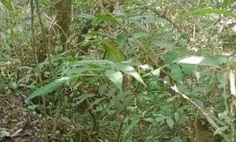 Imagem 5: Chacara Chácara com venda por R$450.000