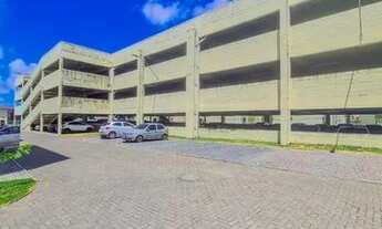 Imagem 5: Jardins da roseira pe22